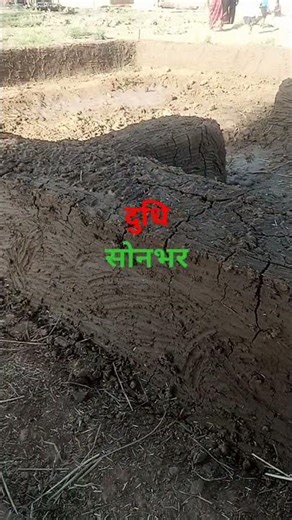 Teri Mitti Mein mil Java Gul Banke main Khil Java #angulation