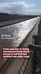 crane machine game level 100000 | Mothership