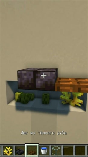 Built in aquarium in Minecraft