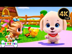 Cún Con Gà Con Và Mèo Con - Con Cò Bé Bé | Nhạc Thiếu Nhi Vui Nhộn