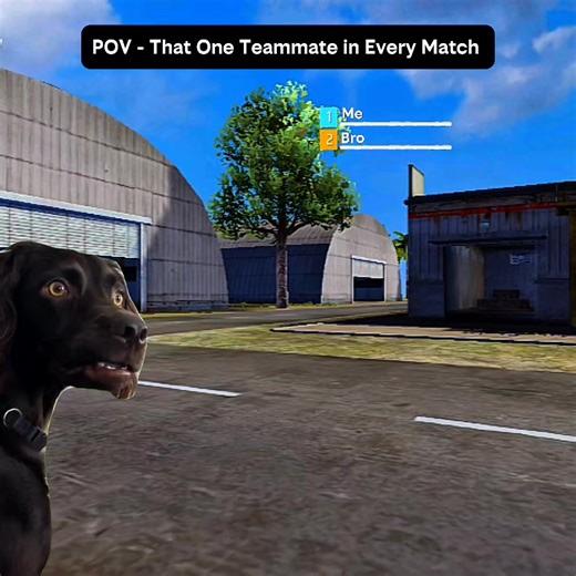 Free Fire Teamwork Tips for Better Gameplay