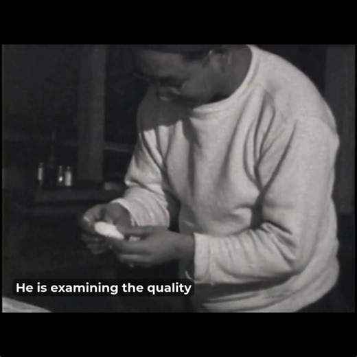 Eiichi Edward Sakauye filmed life at the Heart Mountain concentration camp in Wyoming between 1943 and 1945 on 8mm film. Decades later, he revisited that footage, offering voice-over reflections that bring these images into fuller view. In this clip, Eiichi describes a New Year’s Japanese cultural practice: mochitsuki, the pounding of rice to make mochi. Narrating his footage frame by frame, he recalls how Japanese Americans incarcerated at Heart Mountain continued this tradition to mark the New