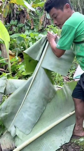 Uncovering a Hidden Purple Yam Harvest! 😱 #Shorts