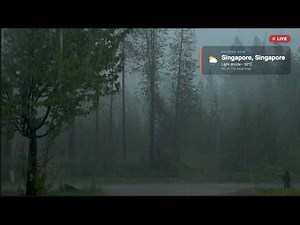 🔴 Live: It's Raining Somewhere on Earth Right Now 🌧️ Rain Sounds for Sleep, Study & Relax