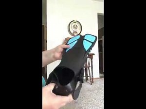 ZEEPORTE Mask Fin Snorkel Set Review, Exceptional snorkeling set I love this set