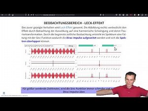 Signale und Systeme - Digitale Signalverarbeitung - Beobachtungsbereich