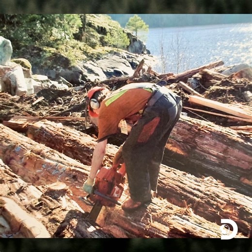In the woods, every step is a chance—just gotta take it! 🌲 Watch the season finale of #TheLastWoodsmen Friday at 9p on Discovery, or stream on discovery ! ➡️ https://discoveryplus.onelink.me/kXBu/TheLastWoodsmenFB | Discovery