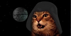 Cat Vador chante la chanson de Star Wars