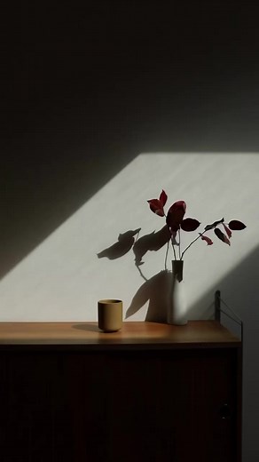 1️⃣ Find an easy-to-read Bible translation (NLT, ESV, MSG, TPT), 2️⃣ Get a physical Bible — devices can be distracting, 3️⃣ Use a Bible Reading Plan or Devotional, 4️⃣ Start with reading the book of John or Romans, 5️⃣ Set aside a time every day; schedule it, 6️⃣ Start with reading just a few verses; read until you are full. It's not about quantity but quality, 7️⃣ Take notes and journal, 8️⃣ Memorize one verse for the day/week, 9️⃣ Talk to others about it; small groups are great for this! | Wor