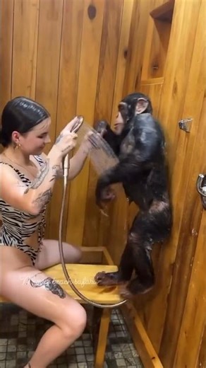 monkey washing #trending #shorts