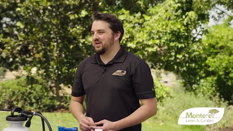 Monterey (LG6302) - Ready to Use Horticultural Oil Spray, Insecticide/Pesticide Treatment for Control of Insects (32 oz.)