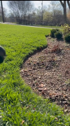 14 reactions | String strimmers are the most satisfying thing to see. I said it. @thelawnreview #lawn #yard #yardwork #lawncare #landscaping #diy #home #homeownership #homeowner | The Lawn Review | Facebook
