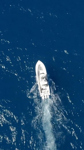 What are our best chances of catching a Permit? Clip taken from LK S7 E8 Invite Extended - Available on YouTube, Waypoint TV & Streaming Apps #floridafishing #permitfishing #keywestfishing #keywest #fishingdestinations #fishing #sportfishing #angling #angler #fishingvideos #fishingvideo | Local Knowledge