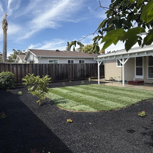 New View Landscaping LLC | San Jose CA
