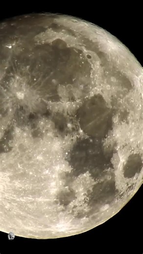 2.1K views · 32 reactions | A close-up of the Moon… and then a space rock flies right past it. It’s quick, but incredible to watch. Our universe never stops surprising us. #Moon #Space #Meteor #Astronomy #Universe | Astro Clips | Facebook