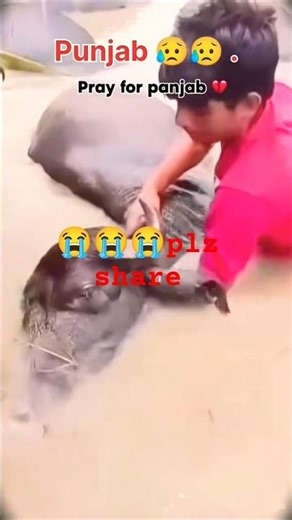 plz jada se jada share karo 🙏🙏🙏🙏#imotional #viral #shortvideo #emotional #viralshorts