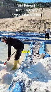 163K views · 1.4K reactions | Desert Salt Harvesting from Red Sea Water #SaltProduction #SaudiArabia #DesertFarming #SustainableAgriculture #NaturalResources | Agrofy | Facebook