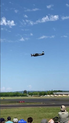 Douglas A-1 Skyraider flyby and sound