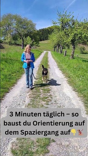 Wie kann ich meinem Hund beibringen, das er mich draußen mehr beachtet