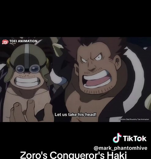 Zoro unleashed his Conqueror's Haki 🔥 #animetiktok #zoro #onepiece #kingvszoro #anime