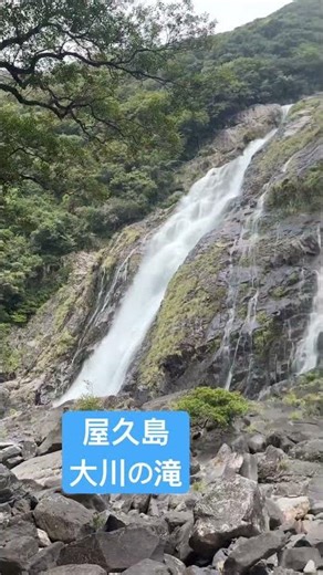 屋久島観光1泊2日🏝️ 大川の滝➝いなか浜 #travel #trip #japan
