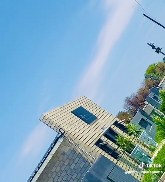 Hire a Professional Landscaper for Your Project