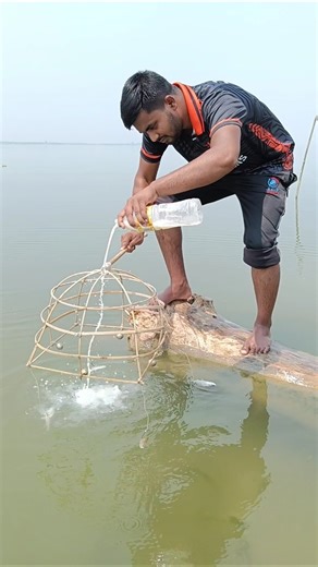 Rural Hook Fishing Videos ! Best Big Fish Catching ! Primitive Fishing Technique 304 #fishing #fish