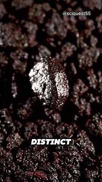 🔴🌍 Why Is Mars Red? 😱 The Mystery Behind the Red Planet’s Color! #science