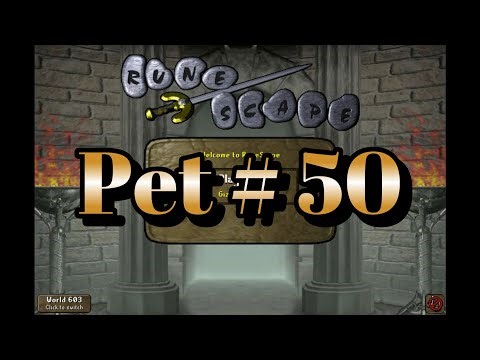 Pet # 50: Reflecting on 50 pets