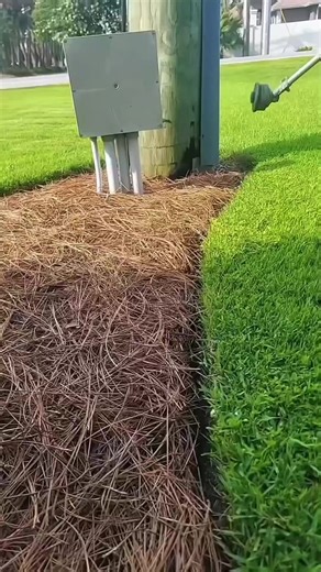 Cahil ve Fakir Kalmamız İmkansızken Neden Böyle Olduk? . . #sistem #fakir #ulke #fyppppppppppppppppppppppp #viraltiktok