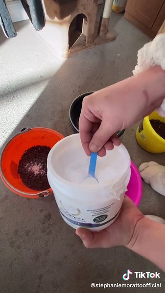 Stephanie Moratto on TikTok