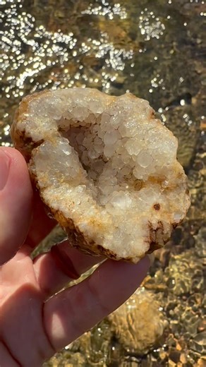 Quartz hunting in an Indiana Creek.