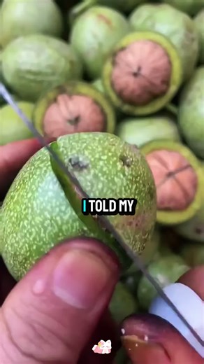 Explaining Divorce to My Kids: A Story