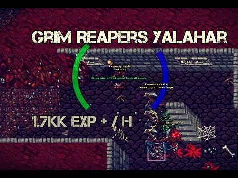 #4 Tibia MS/ED 200lvl + | Grim Reapers | Yalahar Cemetery | 1,7kk~ EXP/H