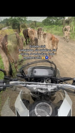 #compoo #ganaderia🐂🐎 #viralvideo #tornado300cc #hondatornado