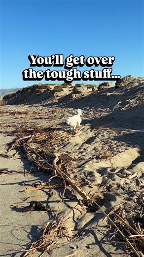 I know you. And you’re gonna fly 🐾 Love 🐾 #YourHappyCoach, Fenix xoxoxoxo #Happydog #prancingdog #iloveyou FYI — I have a neurological disorder called Cerebellar Hypoplasia which affects my coordination and balance. I’m not in any pain, I have full life expectancy and am living my best life. | Fenix Lumiere 'TikTok Happy Dog'