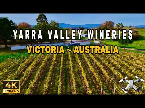YARRA VALLEY WINERIES - DRONE TOUR - Victoria - Australia 🇦🇺 