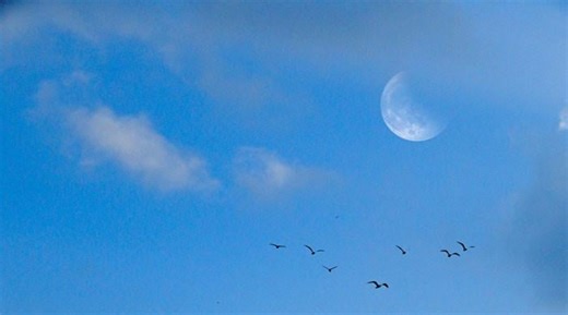 Nasa explains why Moon is sometimes visible during daytime