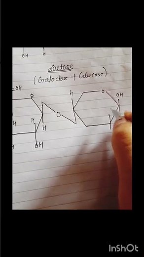 structure of lactose...