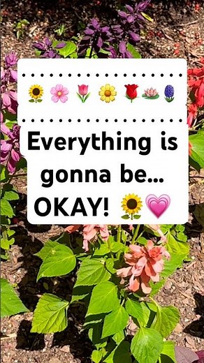 Cute song by #ForrestFrank 💗 Everything is gonna be #Okay 😀 #ChristianMusic #NorthCarolina