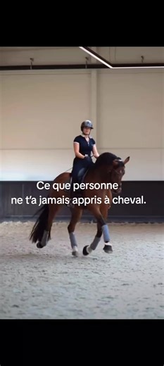 On t’a appris à corriger ta posture, mais jamais à libérer ce qui bloque le mouvement. Le corps crée des micro-tensions invisibles qui déséquilibrent l’assiette. C’est exactement ce que j’explique et travaille pas à pas dans le PDF. #cavaliere #postureequitation #connexioncheval #ressentiecavalier #equitationdouce