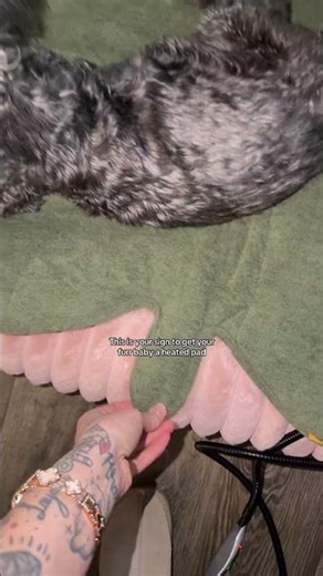 Pet heating pad - dog heating pad - cat heated blanket - pet heating pad #TikTokshopcreatorpicks