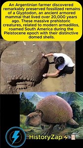 Farmer Unearths 20,000-Year-Old Glyptodon Fossil in Argentina