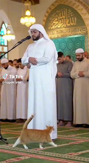 Vidéos de Mathio (@mathiointernational) avec son original - Mathio