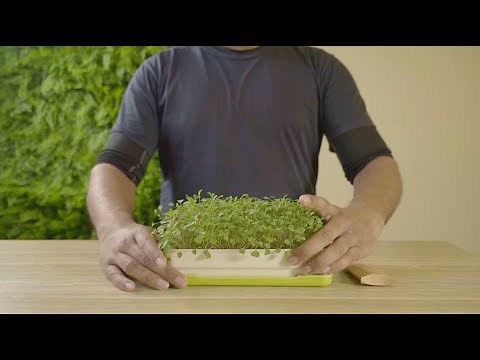 Setting up your MICROPOD STARTER KIT