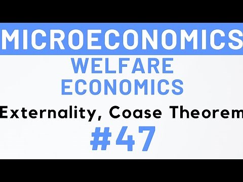 #47- Externality, Coase Theorem, Positive & Negative Externality, MEC 101, IGNOU | Kanishka Luthra