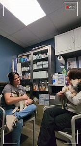 1.3K views · 29 reactions |  What You Need to Know About Parvo ...