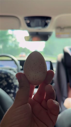 Exploring the Beauty of a Swedish Farm on E18