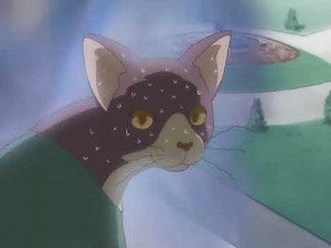 Princess Tutu Episode 20：The Forgotten Story (Sub)