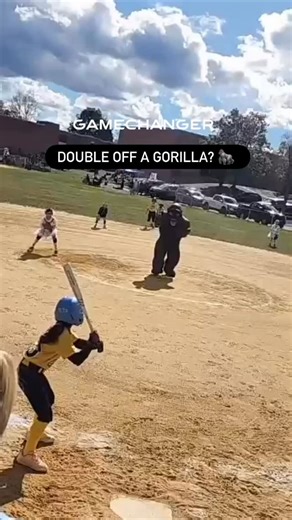 1.1K views · 36 reactions | Pitcher/first base coach/third base coach… this gorilla can do it all 藍藍藍 #ItsOnGameChanger | GameChanger | Facebook
